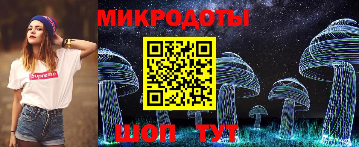 Псилоцибиновые грибы Psilocybine cubensis Сокол
