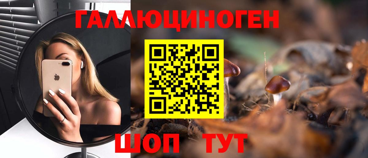 Сокол  Галлюциногенные грибы мухоморы  Вход с VPN 